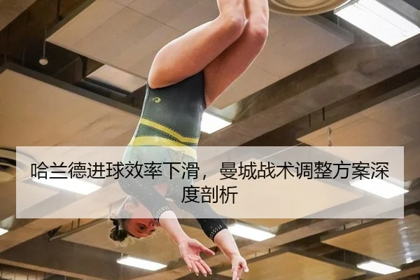 ha-lan-de-jin-qiu-xiao-lv-xia-hua-man-cheng-zhan-shu-tiao-zheng-fang-an-shen-du-pou-xi-3-597.jpg