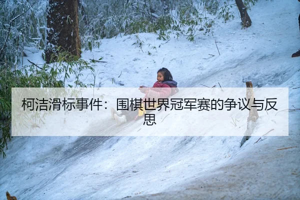 柯洁滑标事件：围棋世界冠军赛的争议与反思