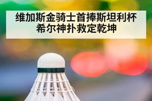 维加斯金骑士首捧斯坦利杯 希尔神扑救定乾坤